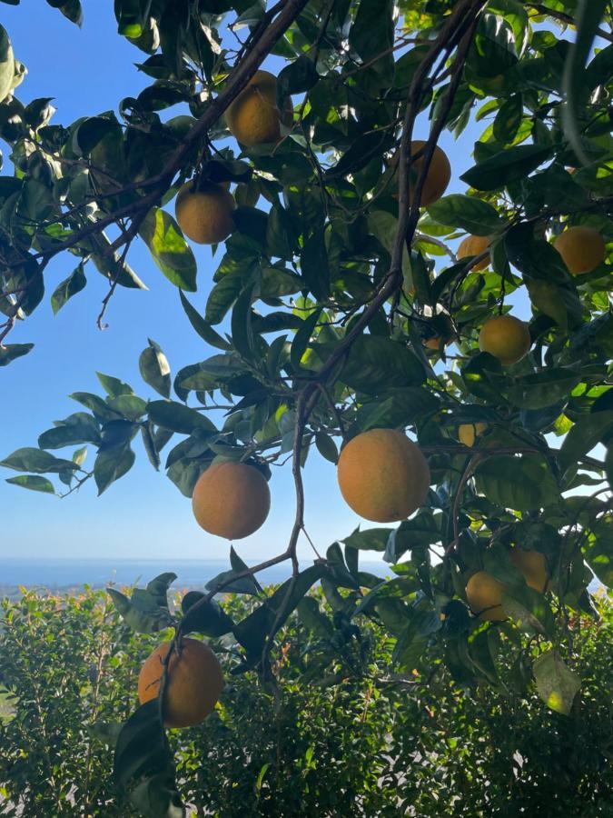 Profumo Di Zagara Villa Fiumefreddo di Sicilia Buitenkant foto