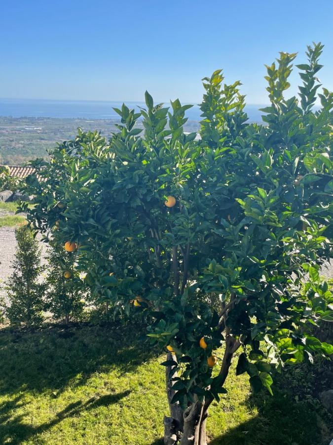 Profumo Di Zagara Villa Fiumefreddo di Sicilia Buitenkant foto