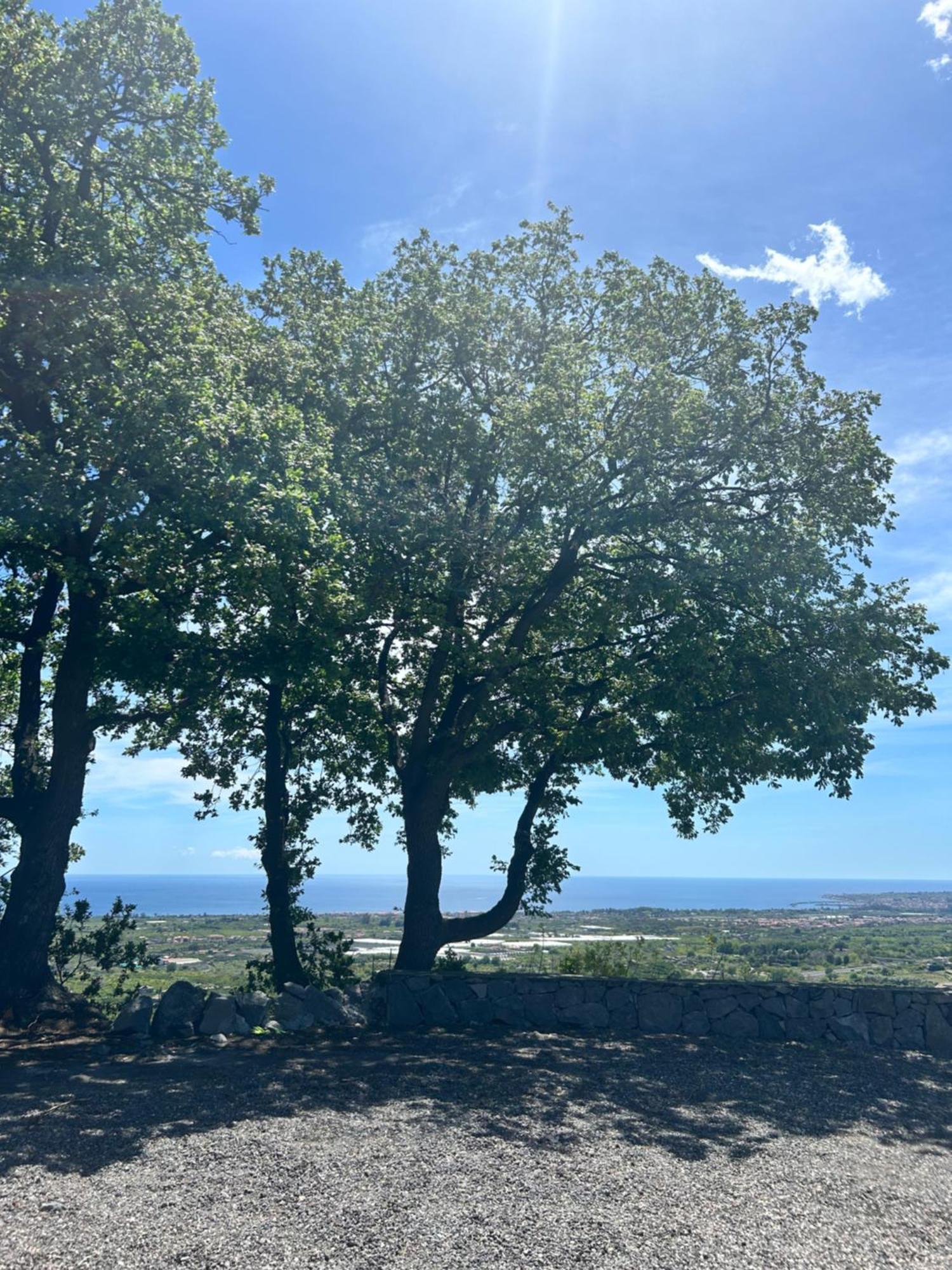 Profumo Di Zagara Villa Fiumefreddo di Sicilia Buitenkant foto